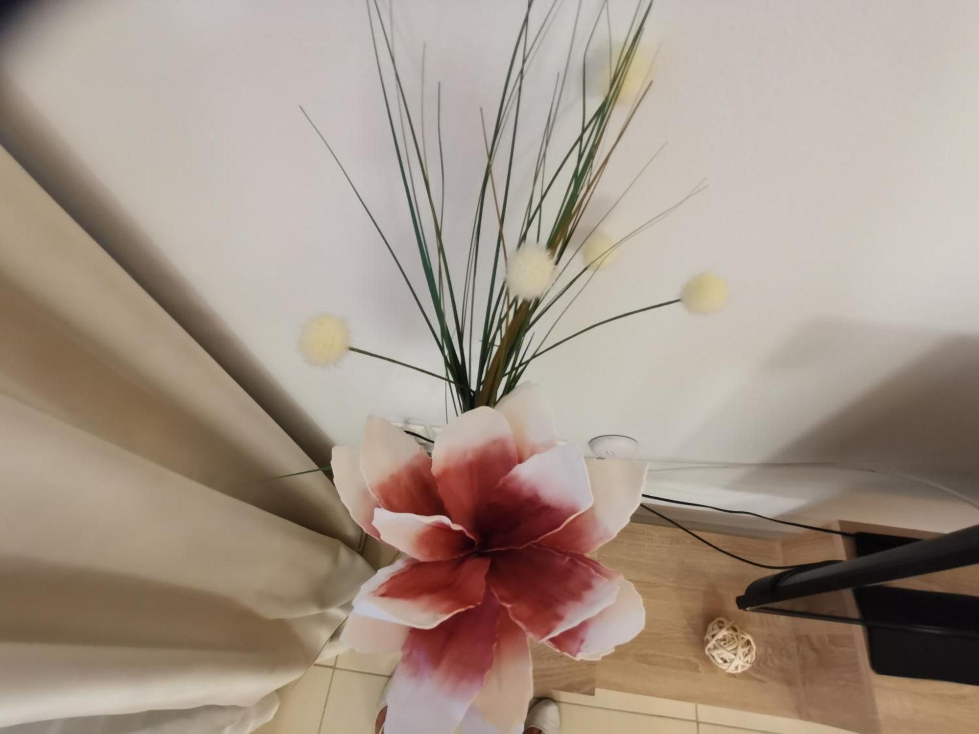 Domus Aries Apartment Rethymno  Phòng bức ảnh